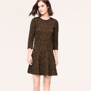 Ann Taylor LOFT Drop Waist Leopard Animal Print Dress Women’s Small